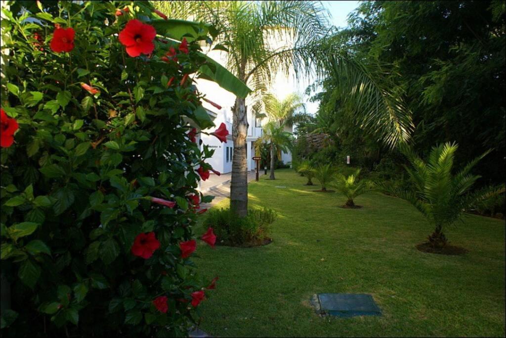 Beautiful Apartment Sea&Mountains Views La Cala De Mijas Buitenkant foto